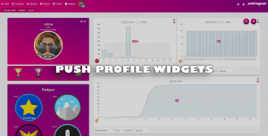 profile_widget_gamified