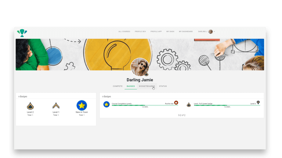 Add a gamified profile page